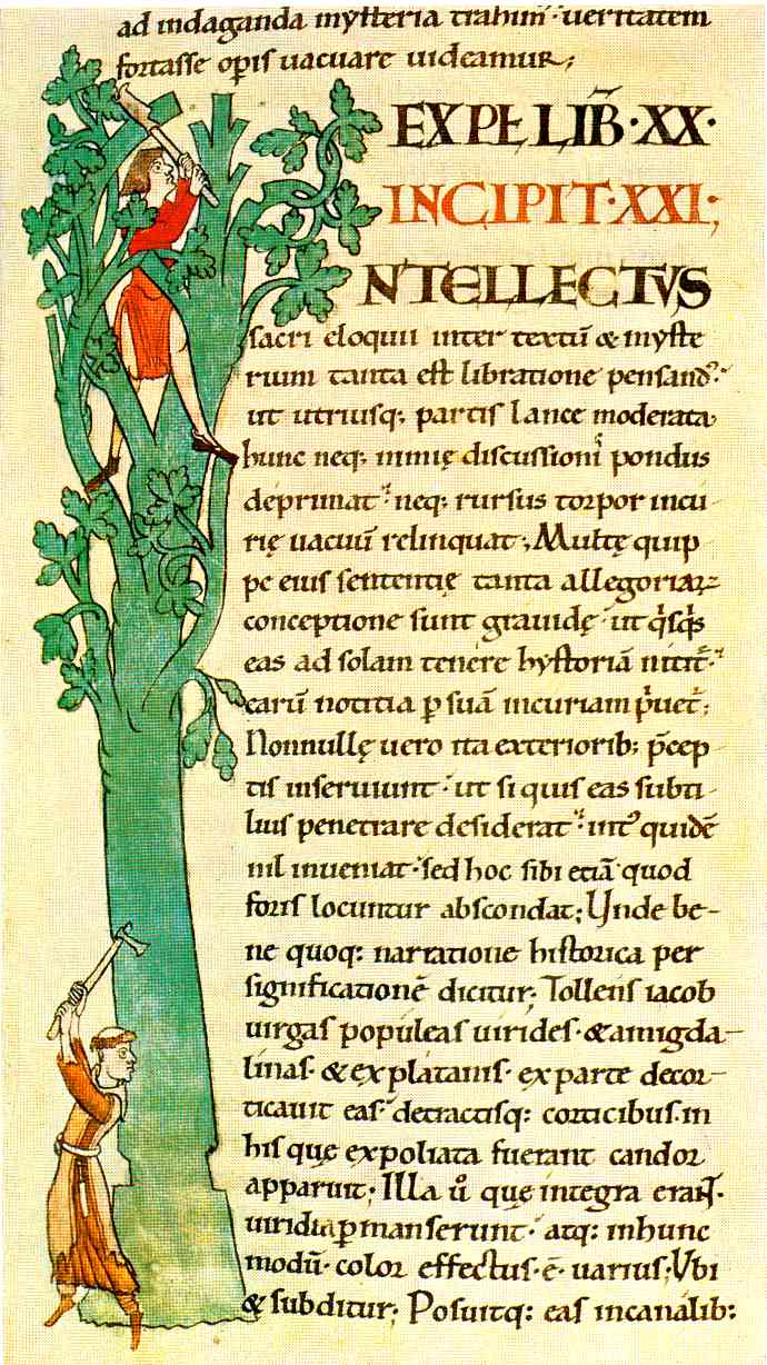 Manuscrit 173, folio 41